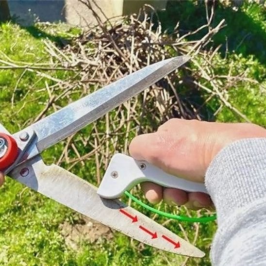 Affûteur couteau pour outil de jardin rapide prof edge