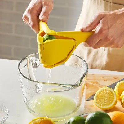 presse citron manuel entretien facile citrus