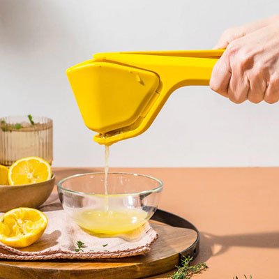 presse citron manuel sans effort citrus